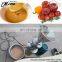 Pharmaceutical Colloid Mill