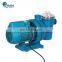 Swimming Pool Pump Motor