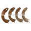 Auto Part OEM MB699334 Rear Brake Shoes for XENIA M80