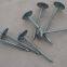 factory supply iron wire nails umbrella head cheap construction umbrella nail