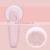 Professional Puppy Dematting Cleaning Flea Grooming Hair Removal Pet Massage Comb