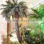 trees & plants type large leaves cheap artificial green plants cycads plants