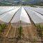 White Shade Net at 40%
