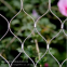 Stainless Steel Woven Flexible Zoo Cages Mesh Fence Wire Rope Cable Netting