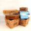 Wholesale Colorful Wooden Planter Box Succulent Plants Pots
