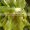 NYLON MONOFILAMENT LINE---YELLOW COLOR---0.28MM