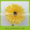 Supply high quality Gerbera cut flower with reasonable price and fast delivery on hot selling