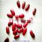 Wholesale dark red kidney beans for can (shanxi)