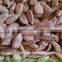 5009 sunflower seed kernels price