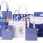 Kraft paper bags with handles