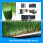 automatic portable hydroponic lettuce production/ barley fodder growing system