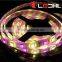 Shenzhen factory RGB+WW / RGB+W / RGB+NW DC12V/DC24V SMD5050 Flexible RGBW led strip 2 years warranty