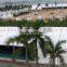 yijin factory vip receiption marquee tent MOB:+08613662486584