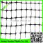 factory direct price extruded plastic pea and bean net/climbing plant support net/plant climbing net