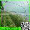 High quality 100% virgin HDPE blow molding greenhouse film for improving grape production