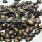 Different Types Of Oil Melon Seeds