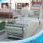 high quality CE approved potato chips making plant