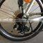 lionhero 20"aluminum folding electric bike