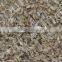 Healthy Nutritional Broken Rice Reused Extruder/Instant Rice Machine