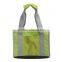 Fashion Insulated lunch tote bag