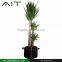 Small Garden Tool Living Room Grow Bag
