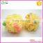 bath soap sponge