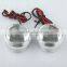 Guangzhou accessary mini Led fish motorcycle light driving/flashing with different color