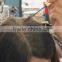 White hair dye wholesale hair makeup gift create your own brand