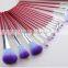 Rose 16pcs Makeup Brush Eyebrow Shadow Cosmetic Brush Set