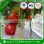 Greenhouse Garden Grow Bag Tree Planting Bag Garden Protection Nonwoven Fabric Products