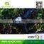 Proof water solar energy LED ground light,the lawn led garden light,outdoor lamps