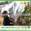 Export of Agriculture Products Fabric Materials Used for Agricultural