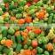 Canned vegetables along with a variety of mixed brine