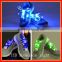 led shoe lace , Light up LED Shoelace ( CE , ROHS )