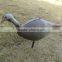 3D turkey hunting decoys /XPE animal TURKEY decoys