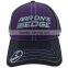 Common feature twill cotton fabric and 6 panel adults age group hip-hop baseball cap custom