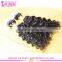 Wholesale Cheap Brazilian Virgin Human Kinky Curly Micro Loop Hair Extensions