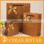 Ornament Paper Gift Bag With Ribbon
