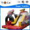 Bouncing Castle With Slide