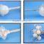 IP68 30mm DC12V Single Color Led Point Light fun amusement lighting