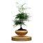 new gift levitation plant pots for wholesale