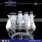2016 New Beauty LM-VR100 Multi Polar RF Machine with Tripolar