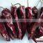 Chinese supplier wholesales export dried red chilli import from china