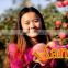China supplier of Fresh hanfu apple fresh apple fruit from Liaoning province
