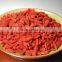 New Harvest Top Quality Bacche Di Goji
