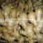 2014Organic fresh ginger
