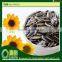2015 Raw Material Black Best Quality Sunflower Seeds 6009