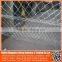competitive price nylon netting fabric , plastic hdpe anti bird net / bird netting for catching birds
