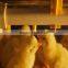 Chicken Cages for sales
