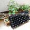 72 cell nursery plug tray for tree seedling, 540*280mm, 90mm depth